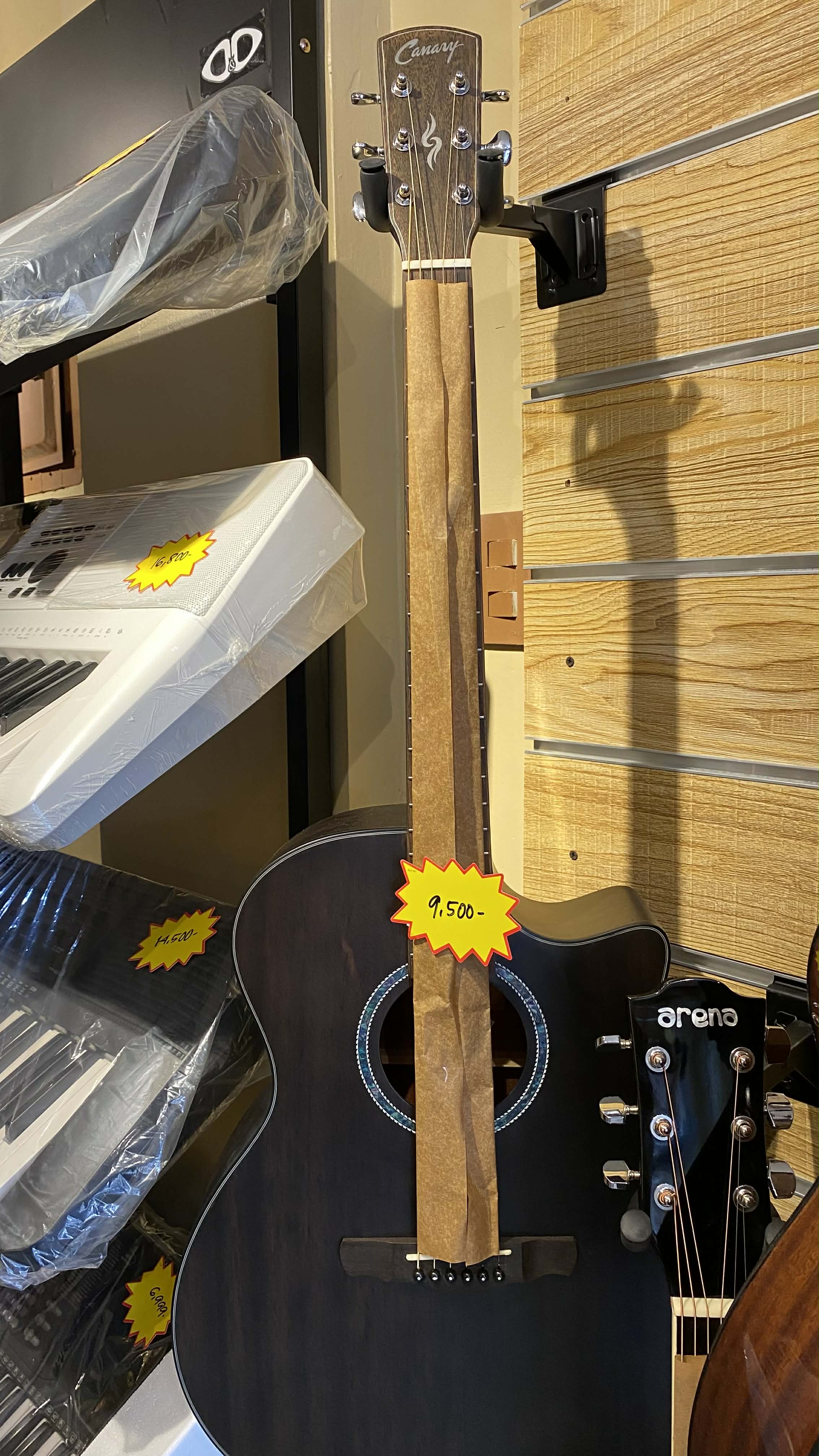 Canary Acoustic Guitar